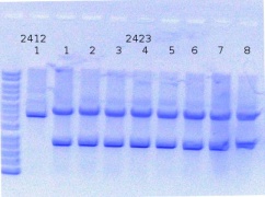 RTENOTITLE