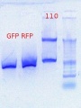 Thumbnail for version as of 19:17, 13 September 2012