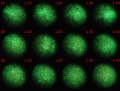 Thumbnail for version as of 12:01, 15 December 2011