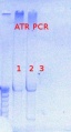Thumbnail for version as of 14:48, 16 November 2012