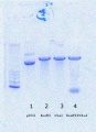 Thumbnail for version as of 11:25, 21 September 2016