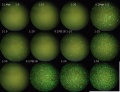 Thumbnail for version as of 18:16, 26 April 2011