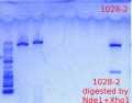 Thumbnail for version as of 15:05, 4 May 2012