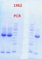 Thumbnail for version as of 16:59, 8 January 2014