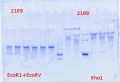 Thumbnail for version as of 13:25, 30 April 2014