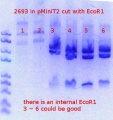 Thumbnail for version as of 21:29, 23 May 2020
