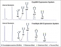 Thumbnail for version as of 17:39, 12 October 2012