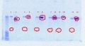 Thumbnail for version as of 14:01, 30 September 2011