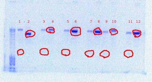 338,254,280,152digest result9-29-2011.JPG