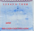 Thumbnail for version as of 09:33, 14 November 2012