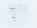 Thumbnail for version as of 14:06, 24 August 2016