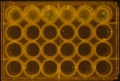 Thumbnail for version as of 17:24, 17 May 2016