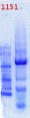 Thumbnail for version as of 11:26, 15 June 2012