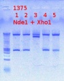 Thumbnail for version as of 19:20, 7 October 2012