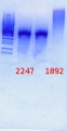 Thumbnail for version as of 16:00, 7 July 2014
