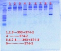 Thumbnail for version as of 17:24, 21 November 2011