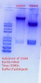 Thumbnail for version as of 20:12, 12 March 2018