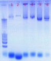 Thumbnail for version as of 12:09, 5 October 2011