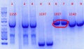 Thumbnail for version as of 14:02, 7 June 2012