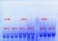 Thumbnail for version as of 11:12, 6 January 2014