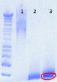 Thumbnail for version as of 13:41, 13 August 2012