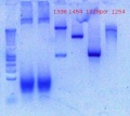Thumbnail for version as of 14:31, 29 November 2012