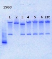 Thumbnail for version as of 17:29, 6 March 2014