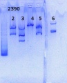 Thumbnail for version as of 14:32, 26 December 2014