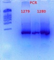 Thumbnail for version as of 12:06, 11 October 2012