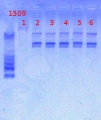 Thumbnail for version as of 16:57, 4 March 2013