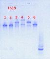 Thumbnail for version as of 11:02, 24 May 2013