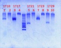 Thumbnail for version as of 10:23, 19 April 2013
