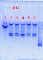 Thumbnail for version as of 16:24, 9 August 2013