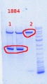 Thumbnail for version as of 10:52, 23 October 2013