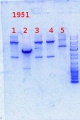 Thumbnail for version as of 13:57, 16 December 2013