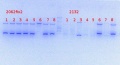 Thumbnail for version as of 10:53, 25 March 2014