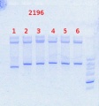 Thumbnail for version as of 10:59, 15 May 2014
