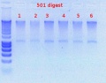 Thumbnail for version as of 15:04, 12 January 2012