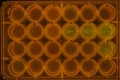 Thumbnail for version as of 18:54, 8 October 2014
