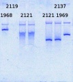 Thumbnail for version as of 15:16, 5 April 2014