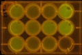 Thumbnail for version as of 17:49, 19 February 2011