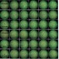 Thumbnail for version as of 11:15, 30 June 2016