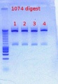 Thumbnail for version as of 13:19, 16 April 2012