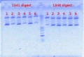 Thumbnail for version as of 11:59, 14 September 2012