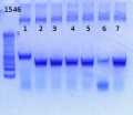 Thumbnail for version as of 16:35, 7 February 2013