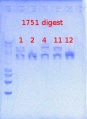 Thumbnail for version as of 17:34, 13 June 2013
