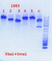 Thumbnail for version as of 16:02, 28 October 2013