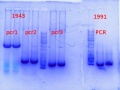 Thumbnail for version as of 17:05, 2 January 2014