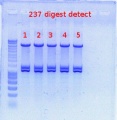 Thumbnail for version as of 17:24, 21 November 2011
