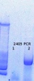 Thumbnail for version as of 15:05, 13 March 2015